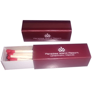 Ptomotional-image-7